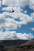 16032_GCPUD_424