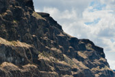 16051_GCPUD_003