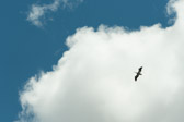 16051_GCPUD_020