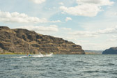 16051_GCPUD_402