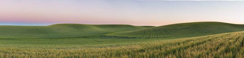 6_26_21 Palouse Pan 1
