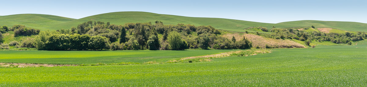 _8107458