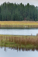 20241 Avista Report Scout Columbia River