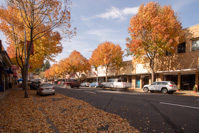 Pullman