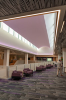 22352 helveticka Library- Central