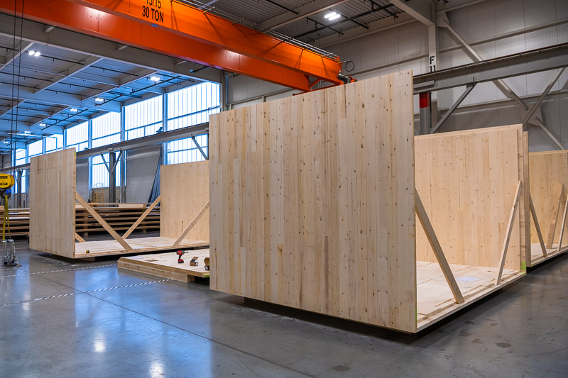 22373 Green Canopy NODE  CLT plant 001