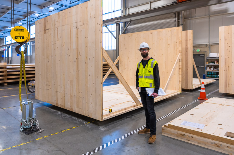 22373 Green Canopy NODE  CLT plant 002
