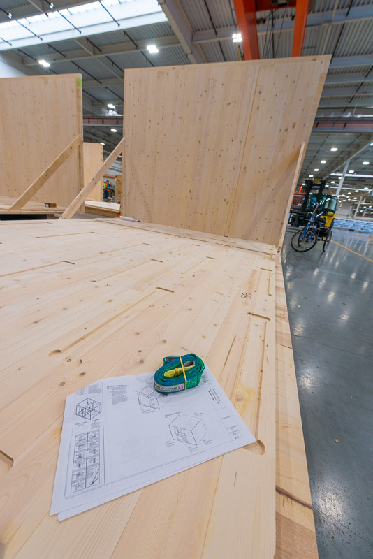 22373 Green Canopy NODE  CLT plant 078