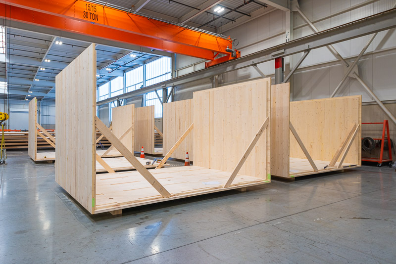 22373 Green Canopy NODE  CLT plant 080
