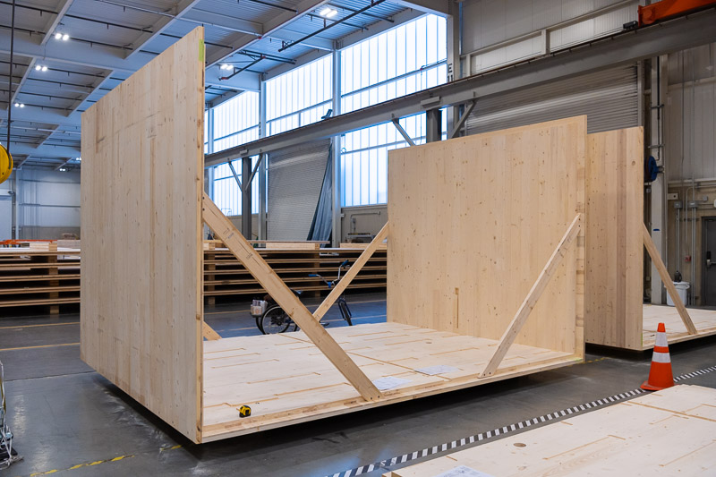 22373 Green Canopy NODE  CLT plant 082