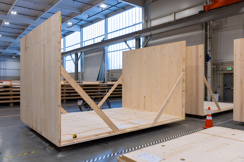 22373 Green Canopy NODE  CLT plant 083