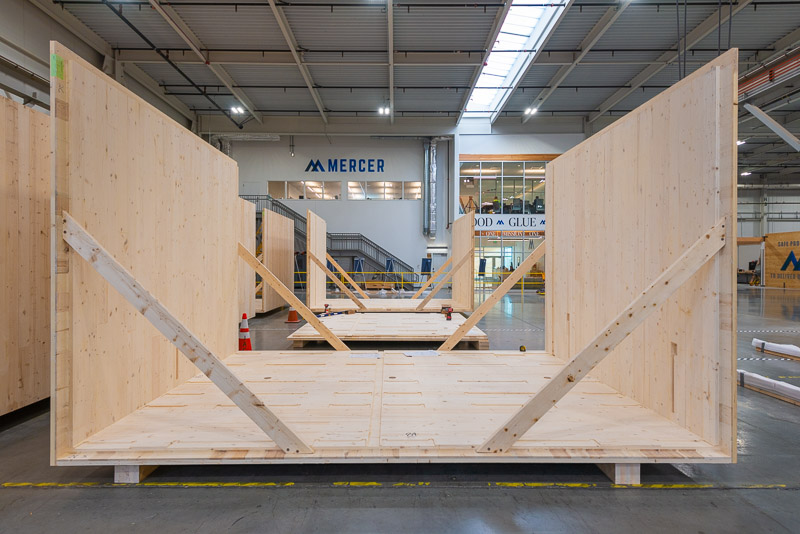 22373 Green Canopy NODE  CLT plant 085