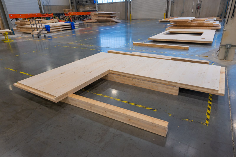 22373 Green Canopy NODE  CLT plant 093