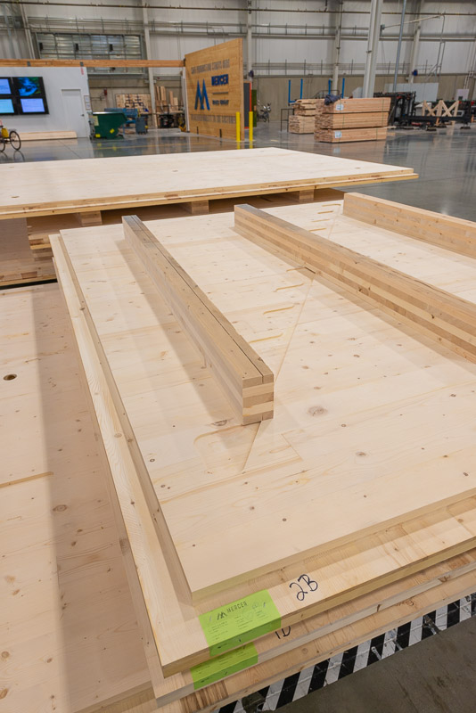 22373 Green Canopy NODE  CLT plant 094