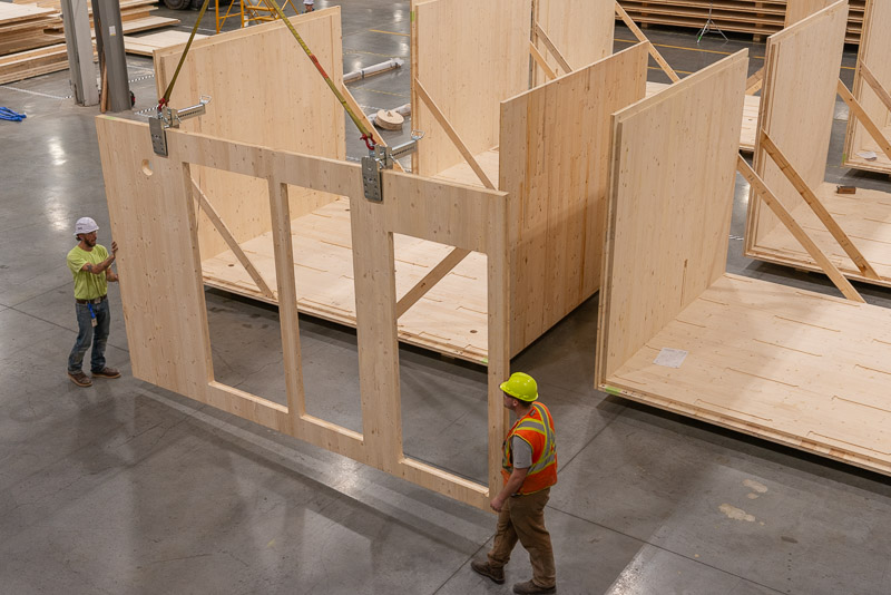 22373 Green Canopy NODE  CLT plant 251