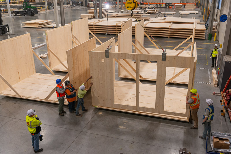 22373 Green Canopy NODE  CLT plant 258