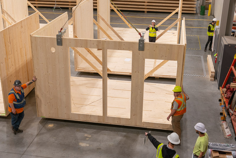 22373 Green Canopy NODE  CLT plant 266