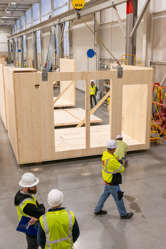 22373 Green Canopy NODE  CLT plant 276