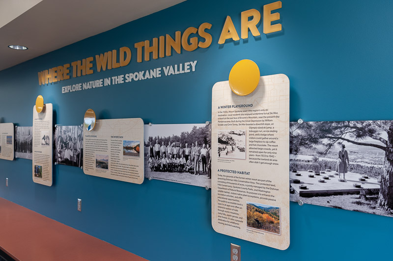 23483 Valley Lib_Scout 06