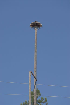 _JCS5543