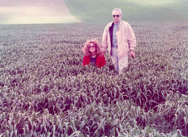 1988 Palouse Pierrette Pierre 3136